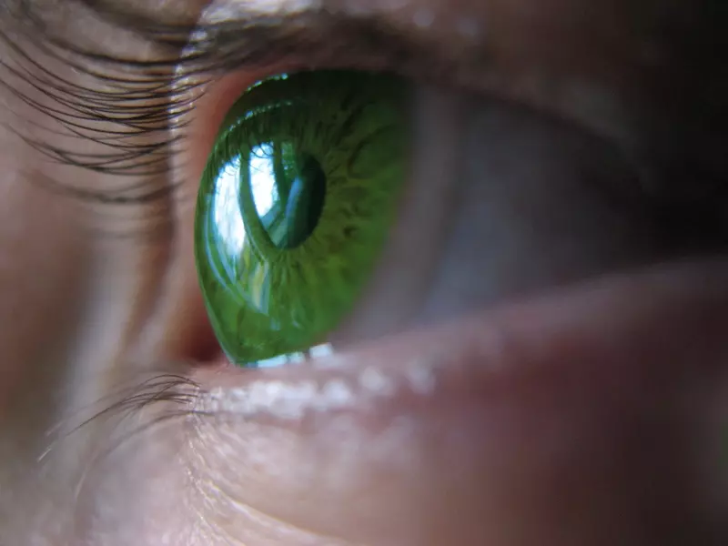 yesil-renk-lens