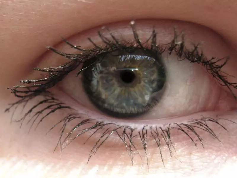 gri-lens