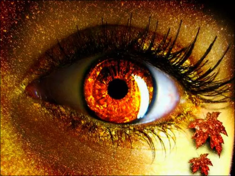 en/honey-colored-eye